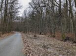 Červená trasa prichádza z priameho smeru, čo bola v minulosti jediná cesta v tejto lokalite, zatiaľ čo asfaltka pribudla neskôr. Pôvodná cesta viedla o niekoľko metrov vpravo od aktuálnej. (2024)
